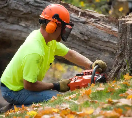 tree services Onset